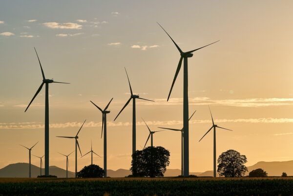 pinwheels, energy, electricity, renewable, wind energy, sunset, wind farm, dusk, trees, landscape, energy, energy, energy, energy, energy, nature, electricity, electricity, wind energy, wind energy, wind farm, wind farm