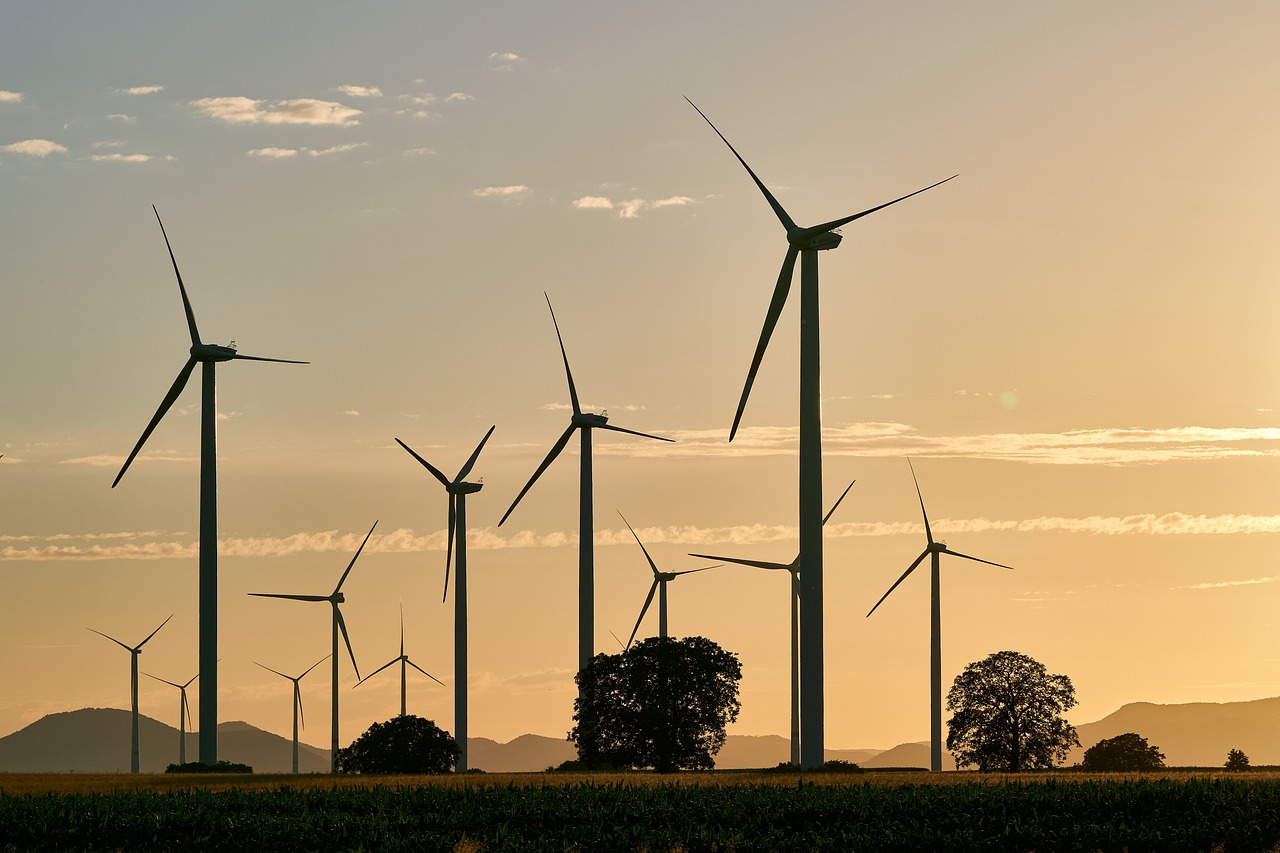 pinwheels, energy, electricity, renewable, wind energy, sunset, wind farm, dusk, trees, landscape, energy, energy, energy, energy, energy, nature, electricity, electricity, wind energy, wind energy, wind farm, wind farm